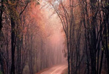 星空体育官网:WTT重庆冠军赛:王艺迪3-0伊藤美诚 晋级女单16强.