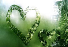 星空体育官网:足球报:武汉女足出奇招淘汰浦和红钻,亚冠已获得30万美元奖金.